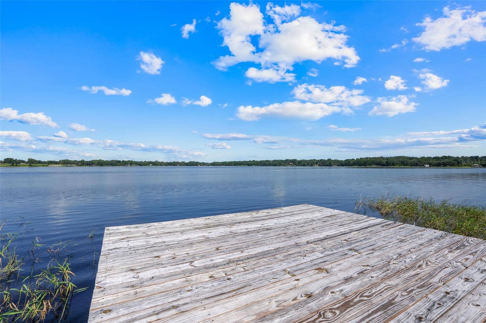 18233 ROSE STREET, Groveland, FL 34736