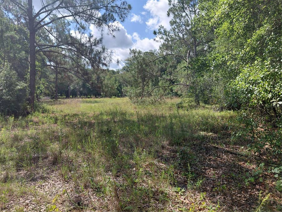 Property photo for PINON DRIVE, Webster, FL