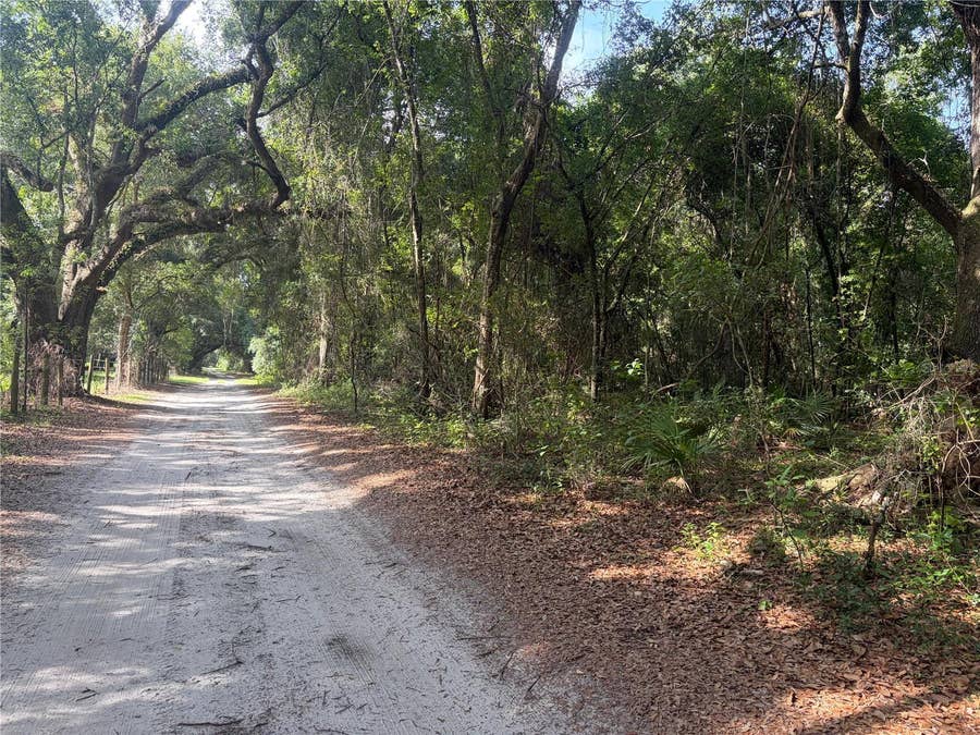 Property photo for 0000 CR 738, Webster, FL