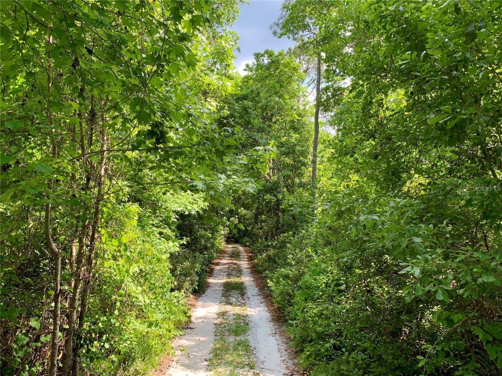 path to the Lake