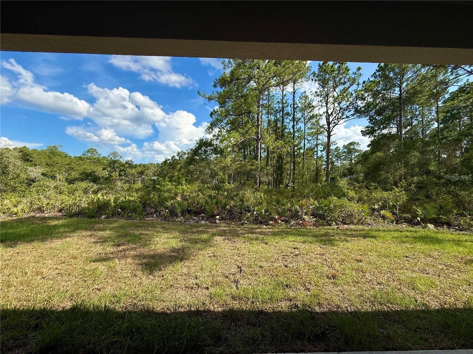 Back porch view