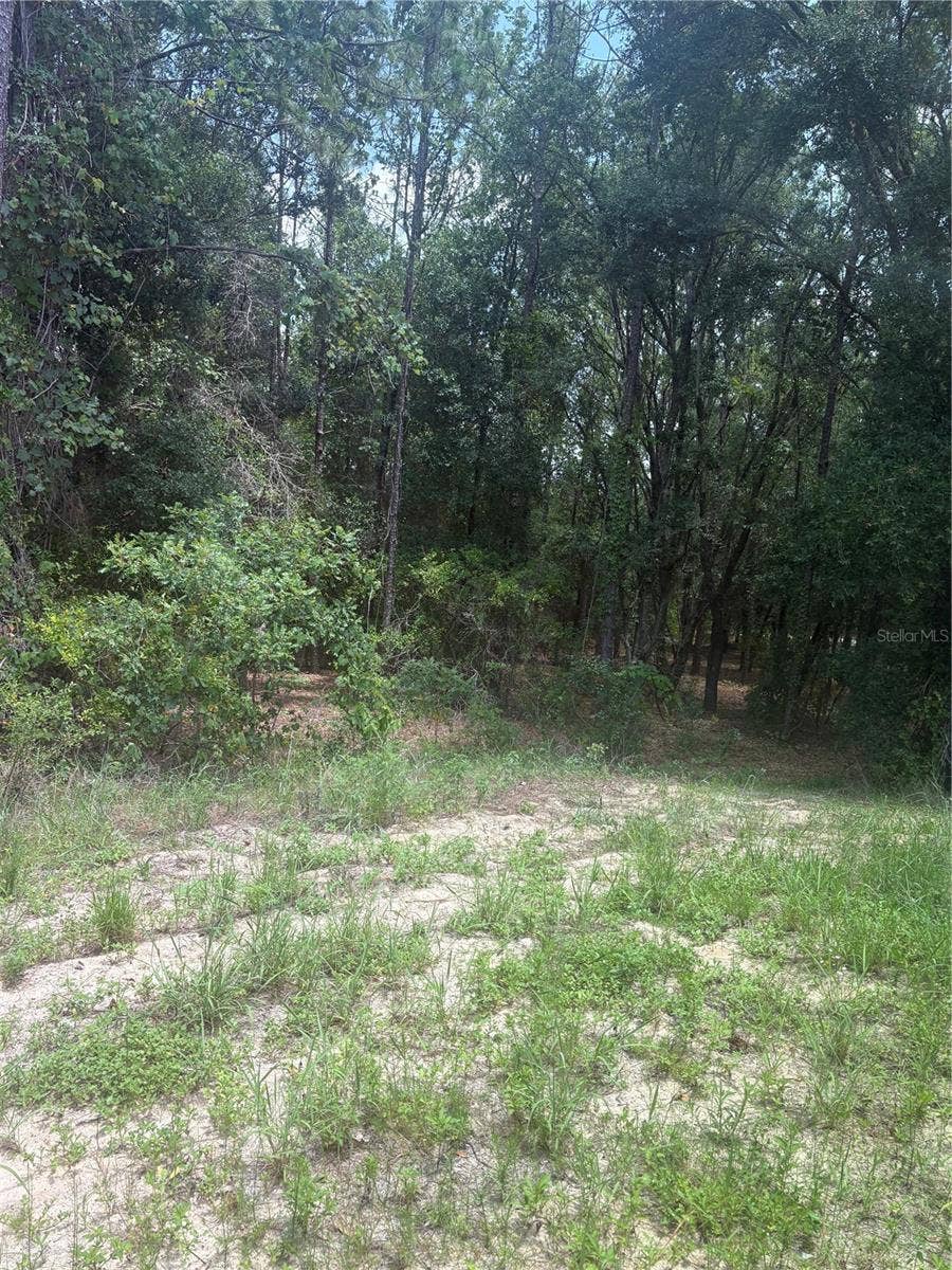 10883 SE 119TH STREET, Belleview, FL 34420 10883 SE 119TH STREET, Belleview, FL 34420