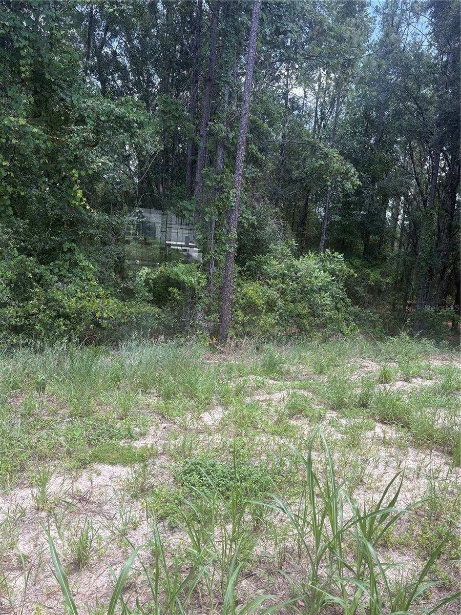 10883 SE 119TH STREET, Belleview, FL 34420 10883 SE 119TH STREET, Belleview, FL 34420