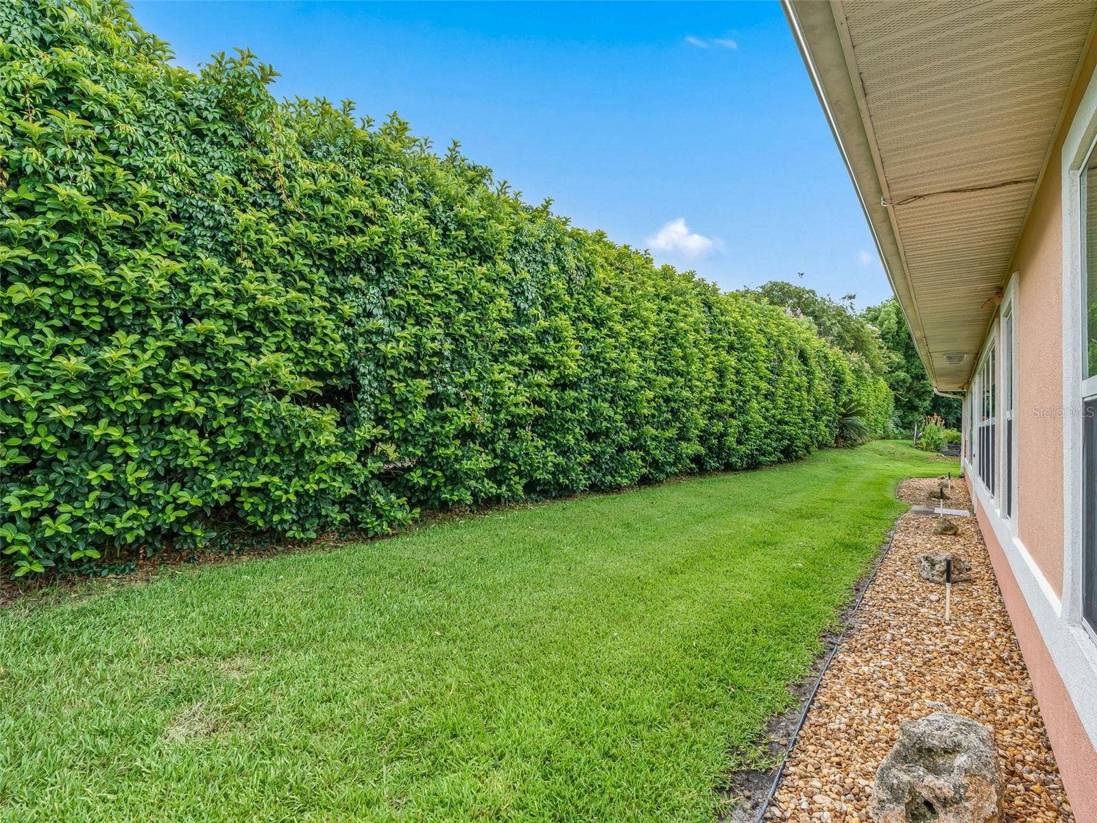 11299 SE 175TH LANE, Summerfield, FL 34491 back yard