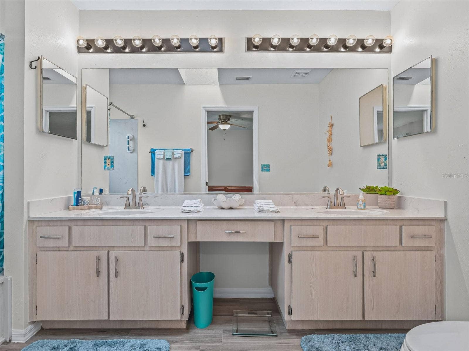 11299 SE 175TH LANE, Summerfield, FL 34491 Primary bath