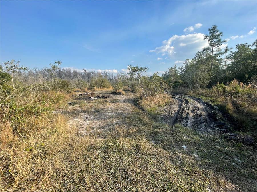 Property photo for CONCORD ROAD, St Cloud, FL