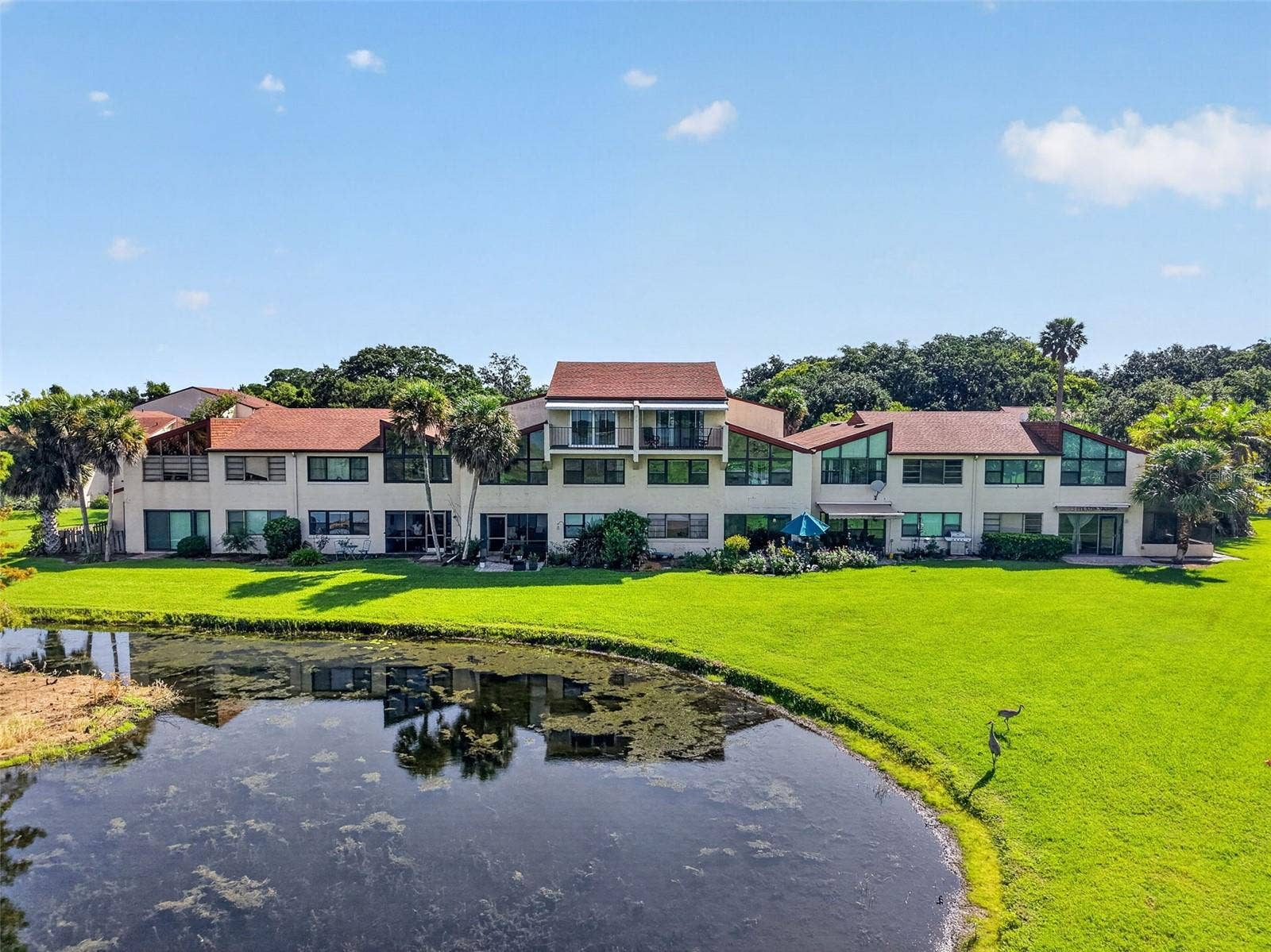 4300 BAYWOOD BOULEVARD, #A103, Mount Dora, FL 32757 4300 BAYWOOD BOULEVARD, #A103, Mount Dora, FL 32757