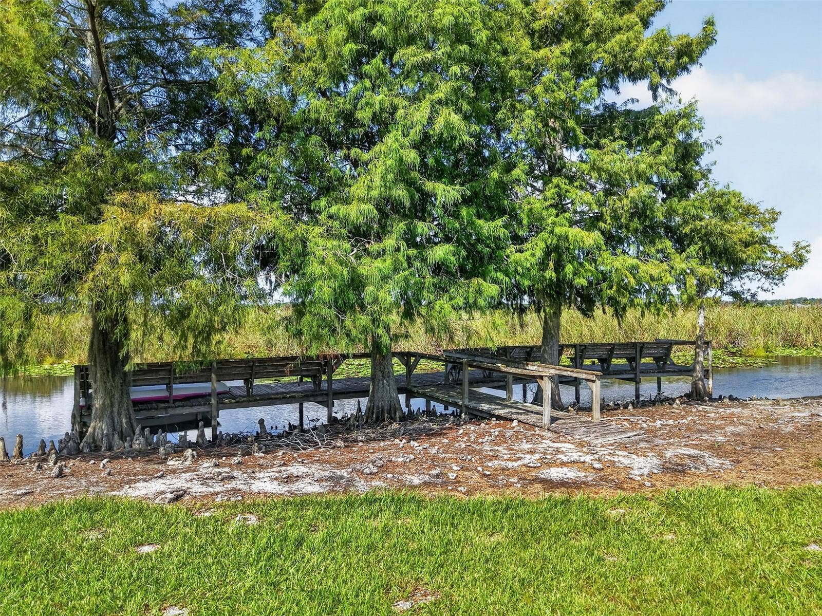4300 BAYWOOD BOULEVARD, #A103, Mount Dora, FL 32757 4300 BAYWOOD BOULEVARD, #A103, Mount Dora, FL 32757