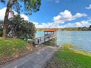 1760 LAKE TERRACE DR, Eustis, FL 32726 comumunity dock and ramp