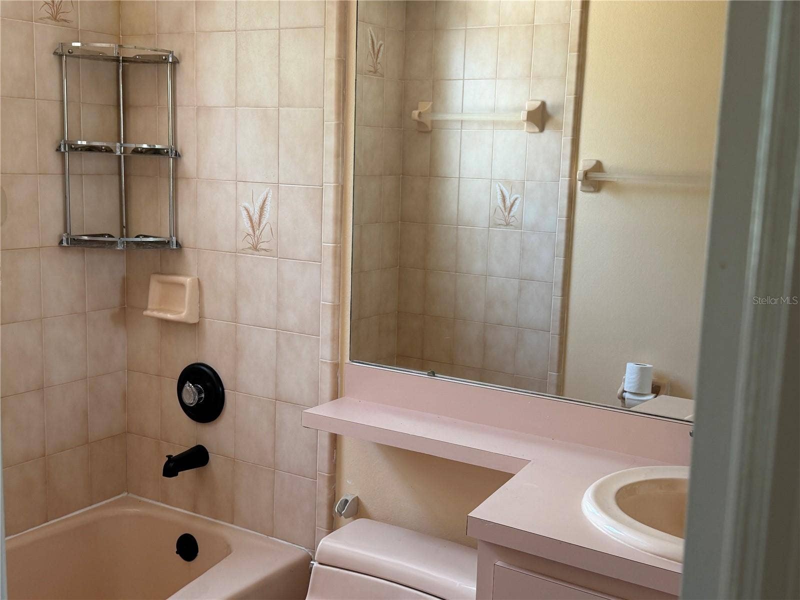 1760 LAKE TERRACE DR, Eustis, FL 32726 third bath