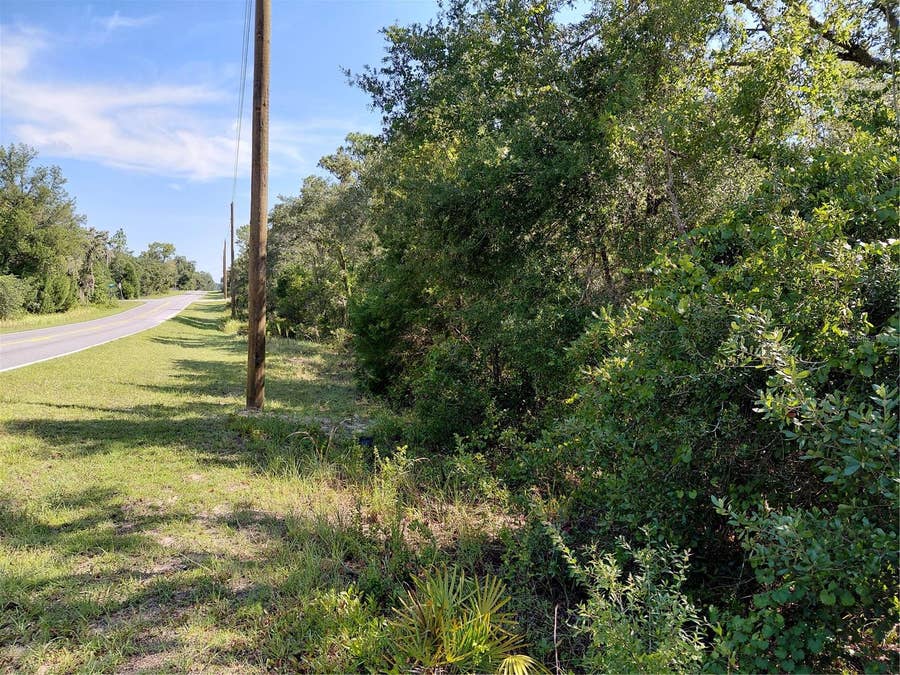 Property photo for WHEYSTONE DRIVE, Webster, FL
