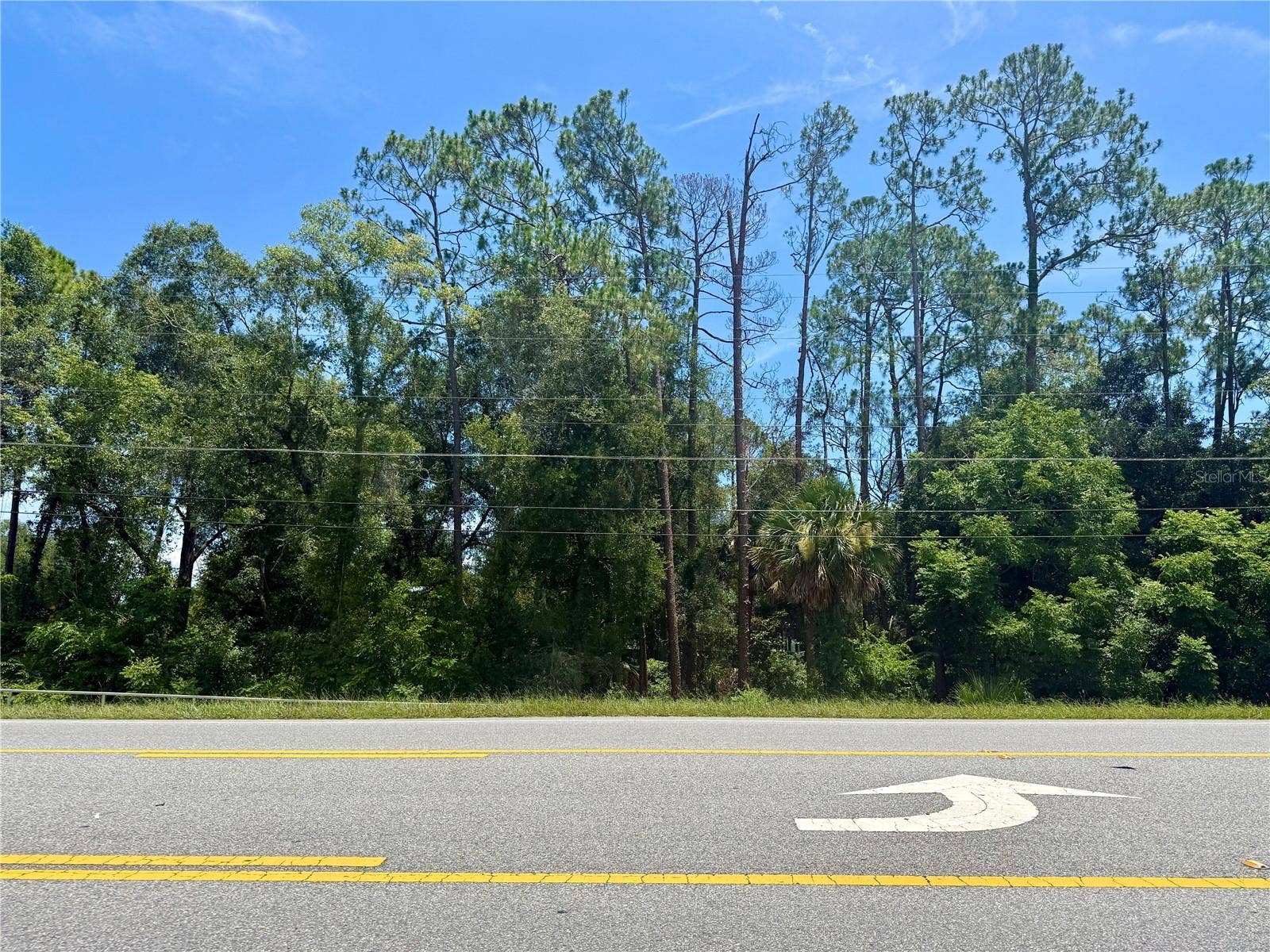LOT 13 STATE ROAD 44, Eustis, FL 32726 LOT 13 STATE ROAD 44, Eustis, FL 32726