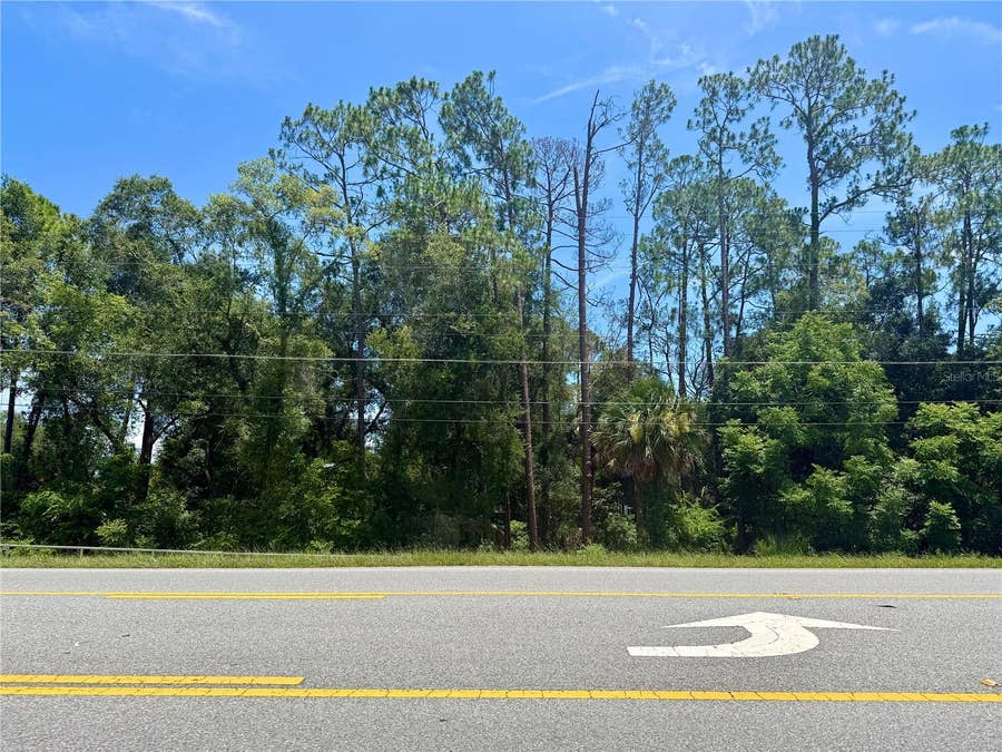 Property photo for LOT 13 STATE ROAD 44, Eustis, FL