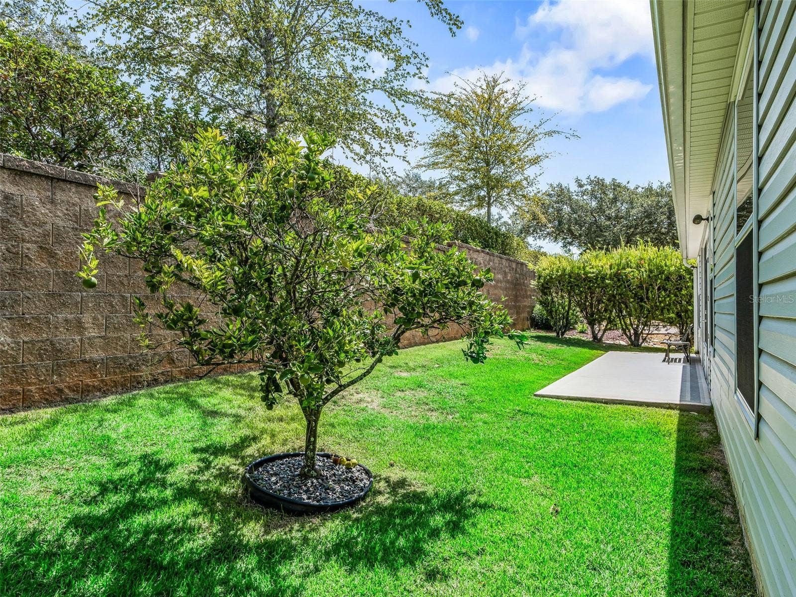 764 BAISLEY TRAIL, The Villages, FL 32162 Private back yard with Patio