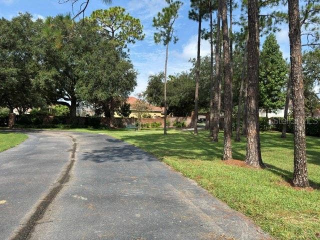 Community Park