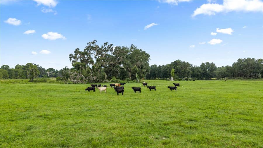 Property photo for COUNTY ROAD 774, Webster, FL