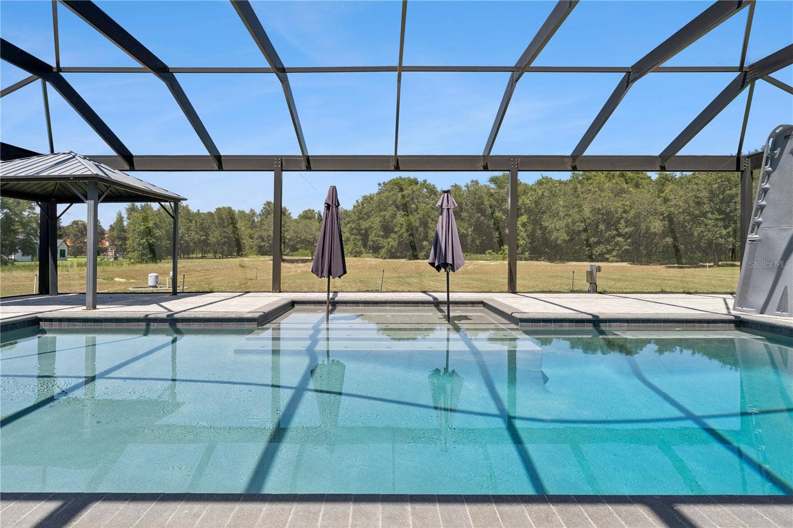 18145 GREAT BLUE HERON DRIVE, Groveland, FL 34736 Heated Salt Water Pool