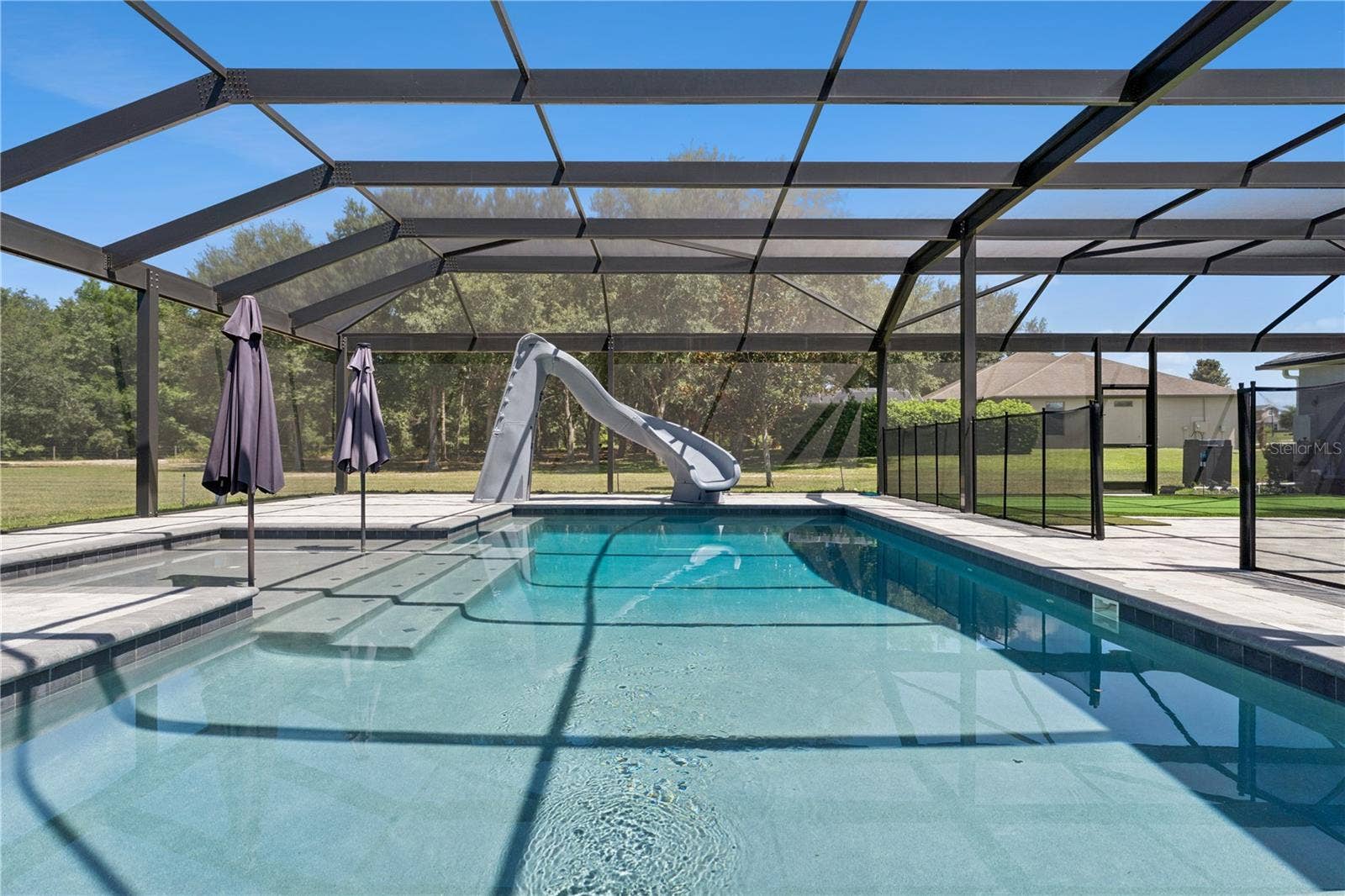 18145 GREAT BLUE HERON DRIVE, Groveland, FL 34736 Heated Salt Water Pool