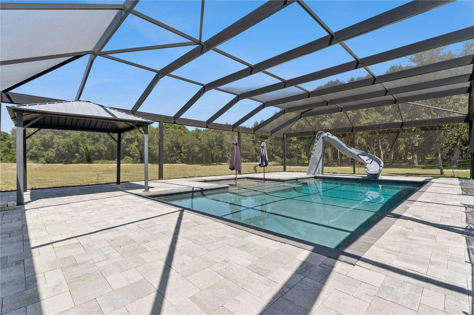18145 GREAT BLUE HERON DRIVE, Groveland, FL 34736 Heated Salt Water Pool