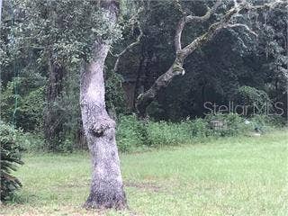 Property photo for SW 49TH CT, Webster, FL