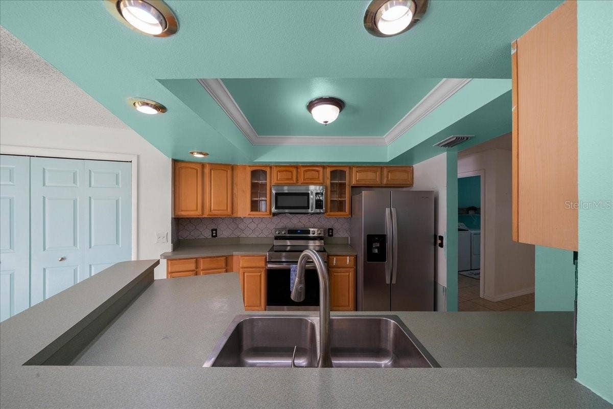 14993 SW 38TH CIRCLE, Ocala, FL 34473 Tray Ceiling