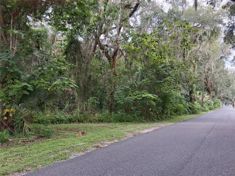 Property photo for COUNTY RD 730, Webster, FL