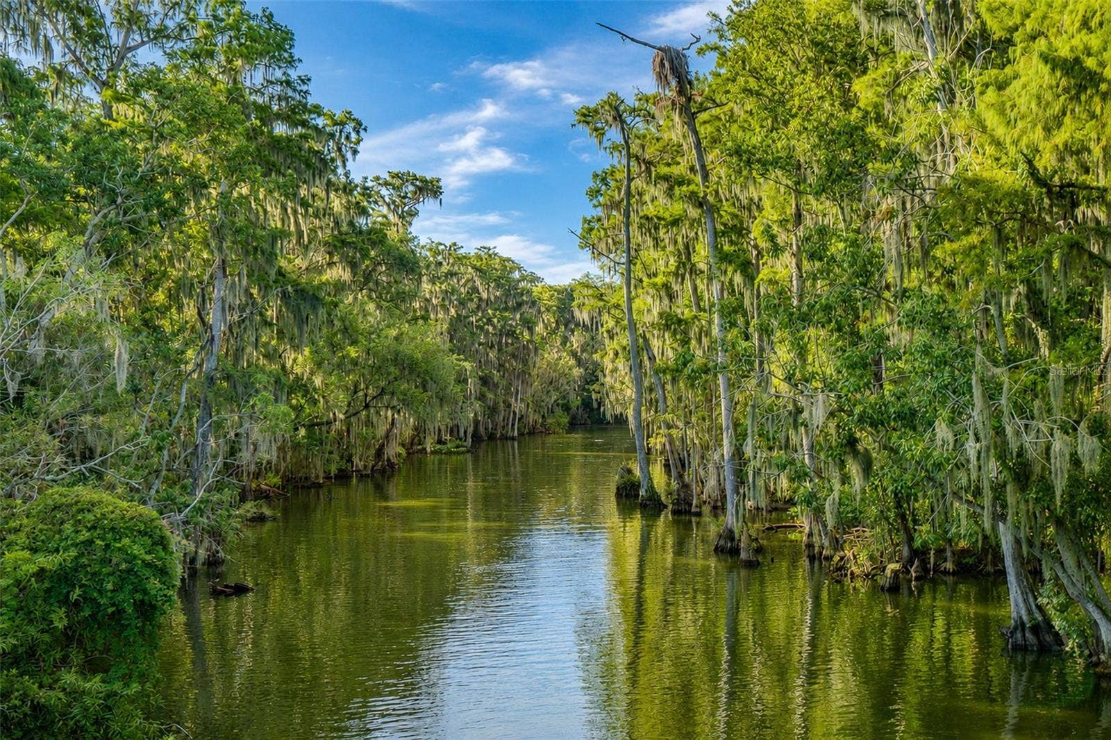 1021 HILLTOP ROAD, Tavares, FL 32778 Dora Canal
