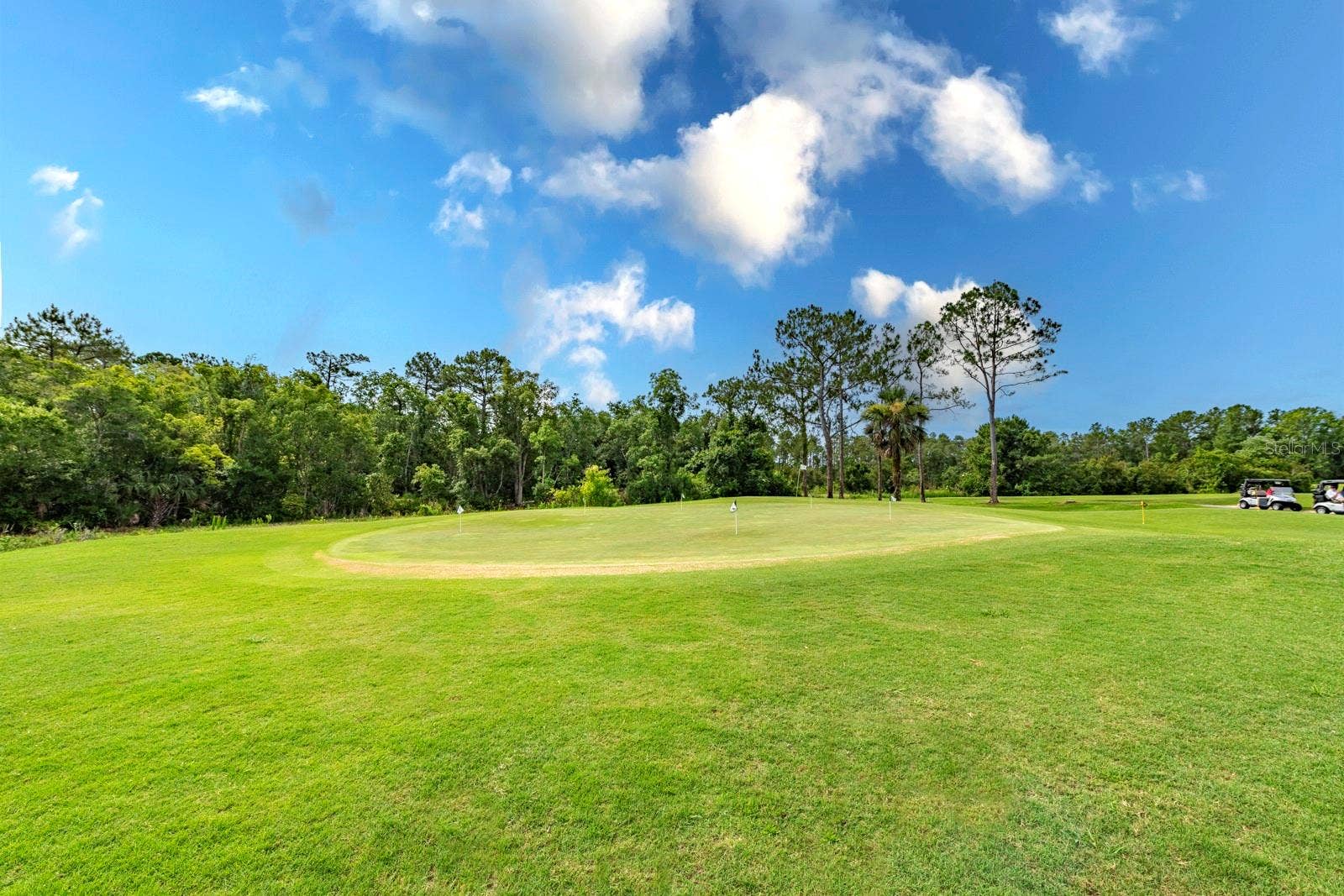 5039 GREENBRIAR TRAIL, Mount Dora, FL 32757