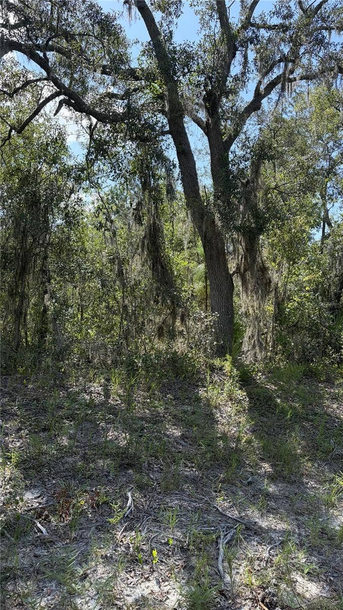 Property photo for 2199 N STAMPEDE DRIVE, Beverly Hills, FL