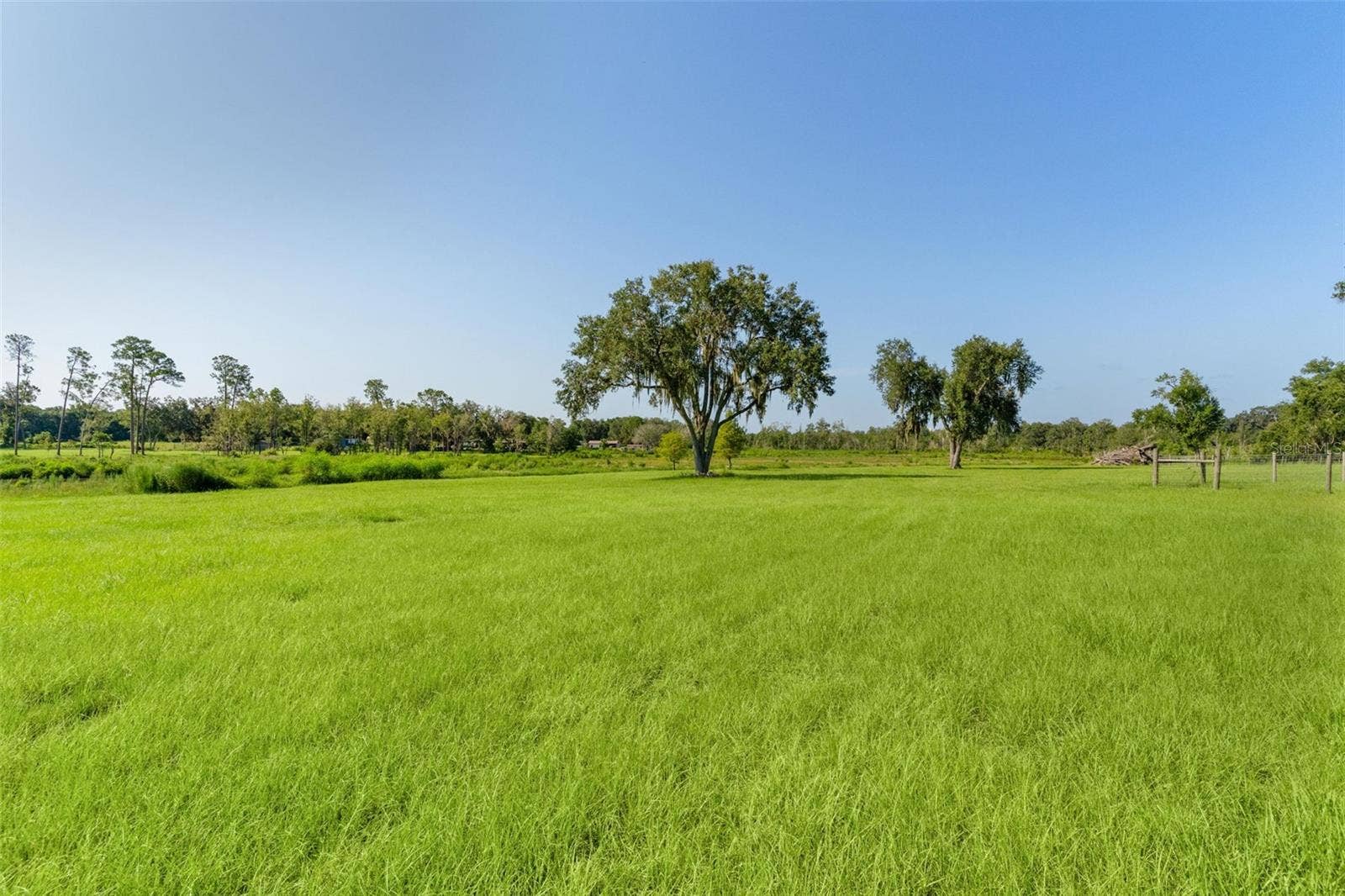 16215 DOUGLAS ROAD, Groveland, FL 34736