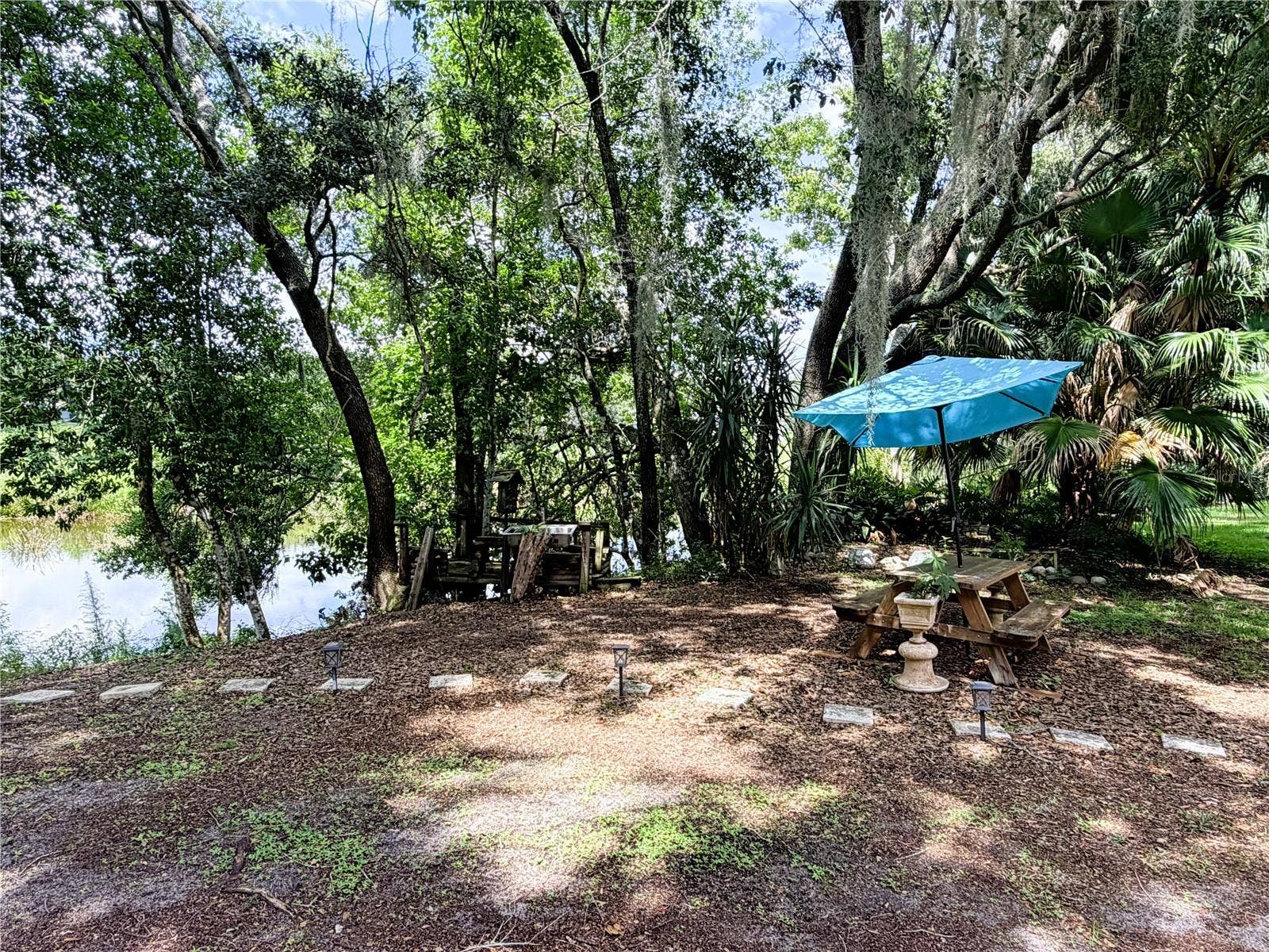 Backyard/Pond