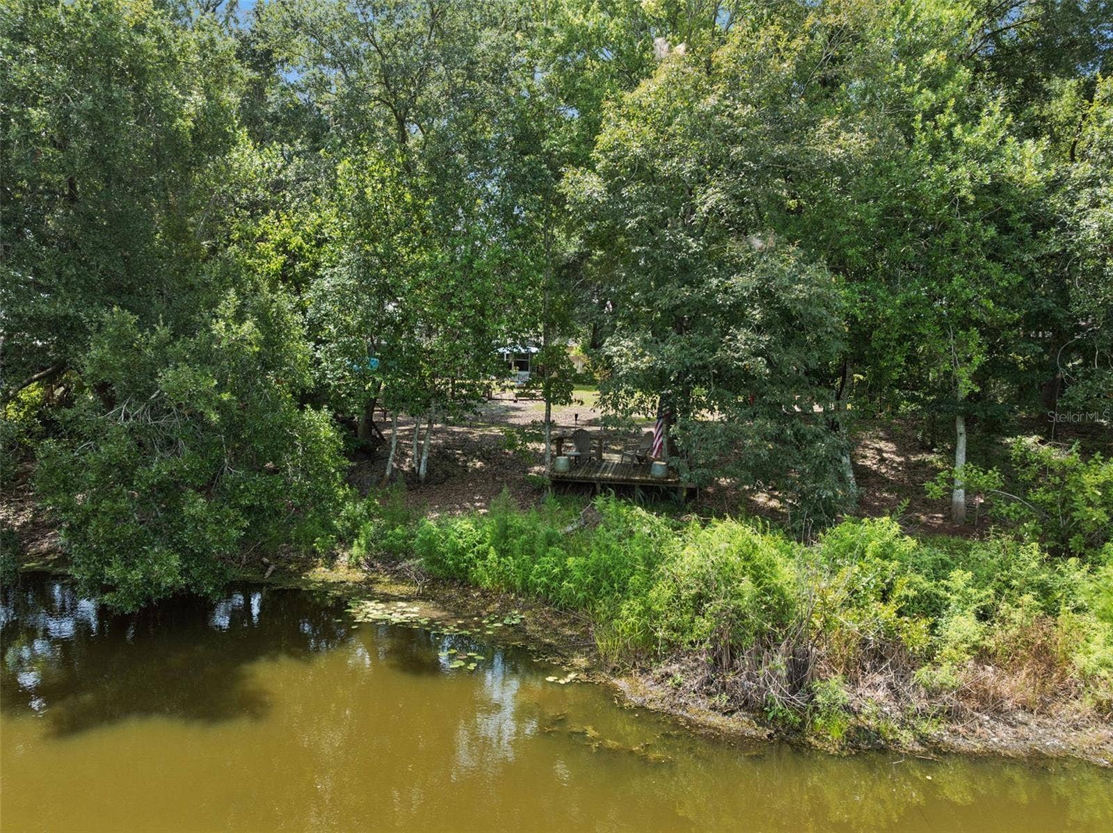 Pond View