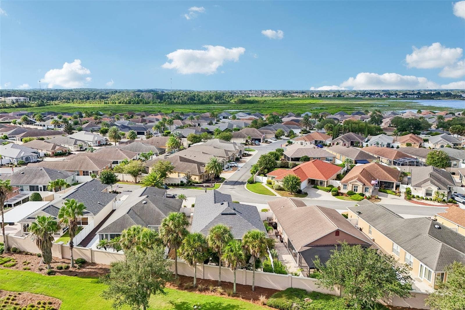 583 ARTEAGA WAY, The Villages, FL 32162 Elevated Back