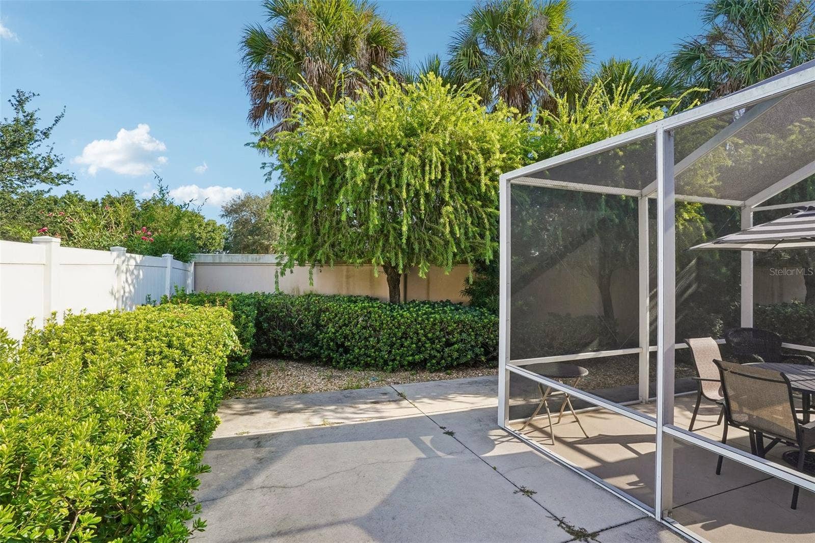 583 ARTEAGA WAY, The Villages, FL 32162 Backyard into Screen in Lanai