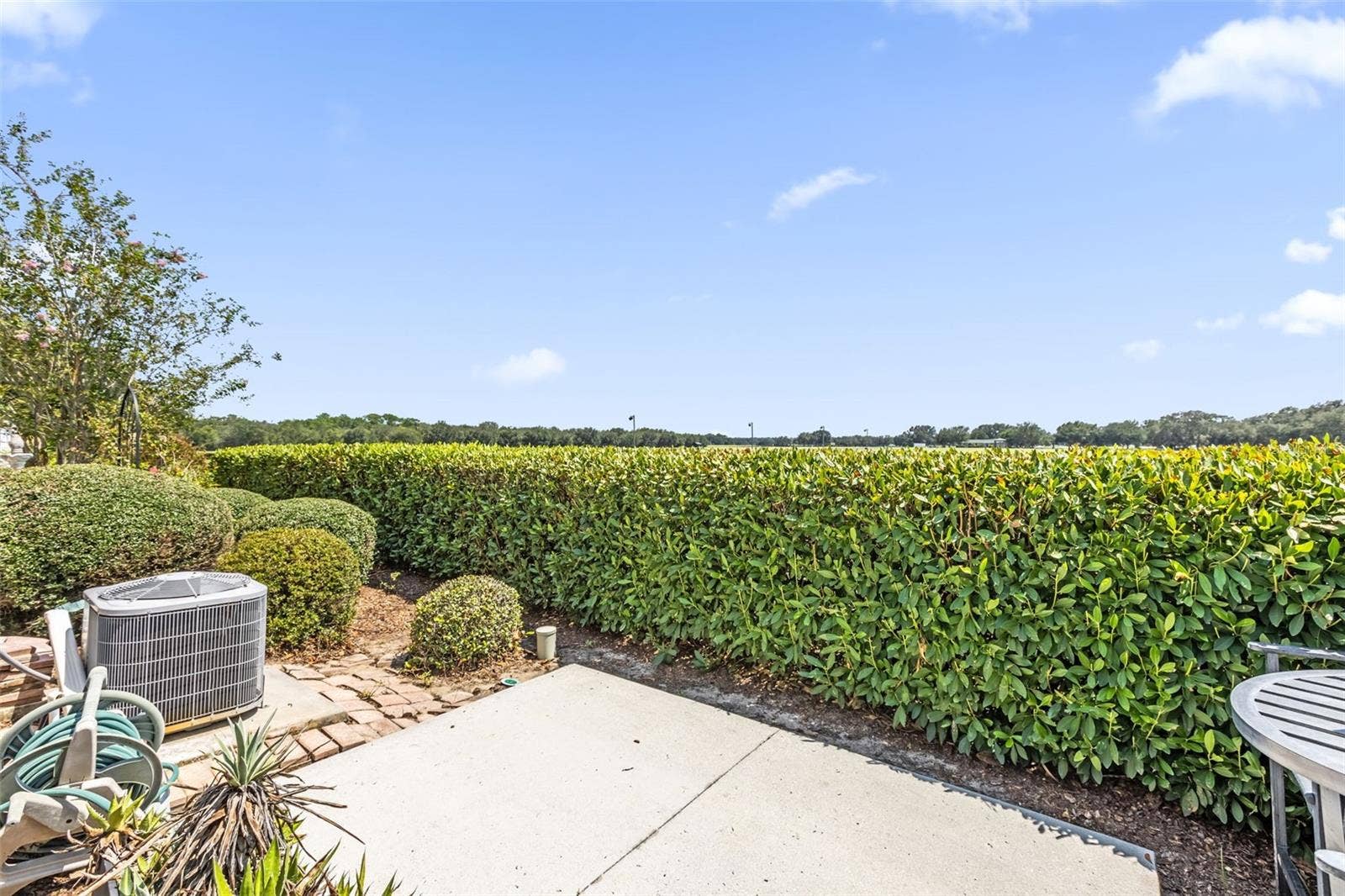 2801 BARBOZA DRIVE, The Villages, FL 32162 View in back from Patio