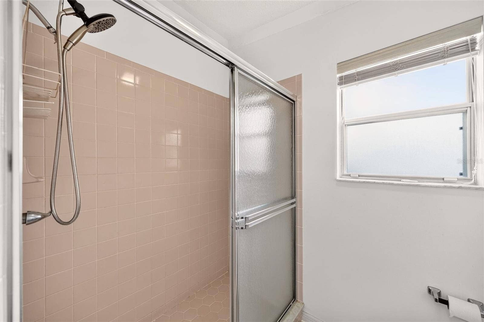 1207 PALMETTO DRIVE, The Villages, FL 32159 Shower