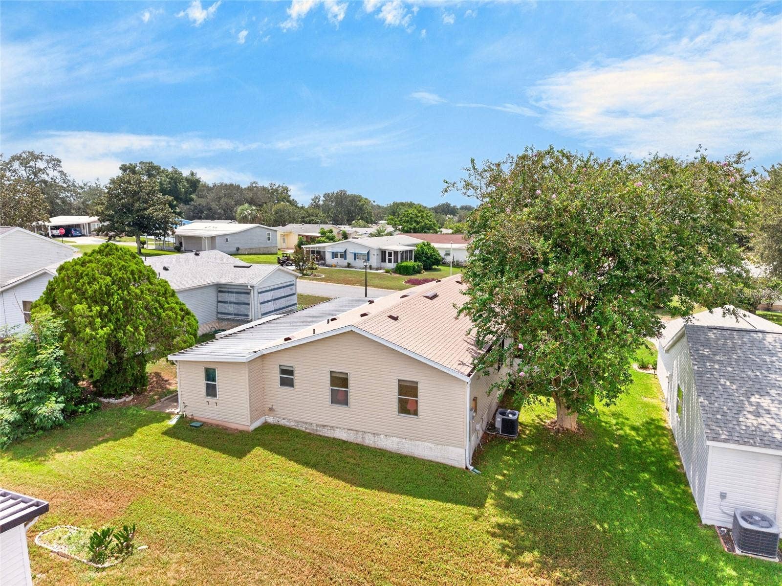 1207 PALMETTO DRIVE, The Villages, FL 32159 Back Yard