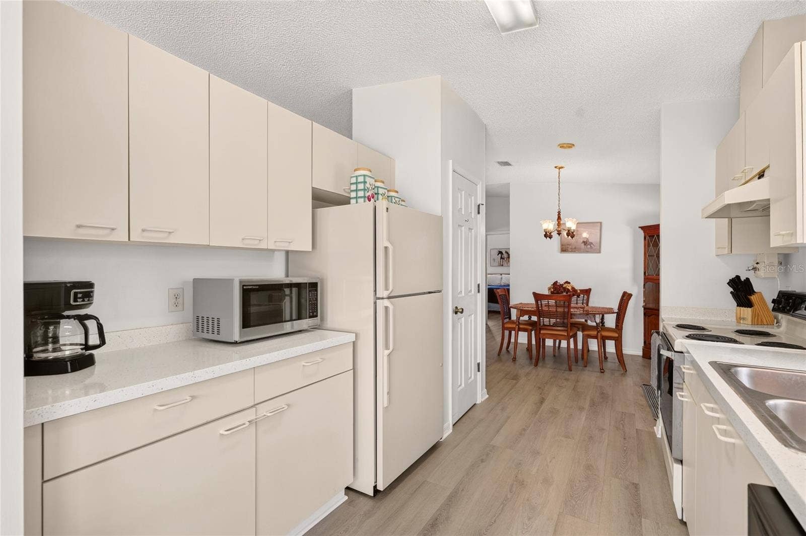 1207 PALMETTO DRIVE, The Villages, FL 32159 Pantry Closet