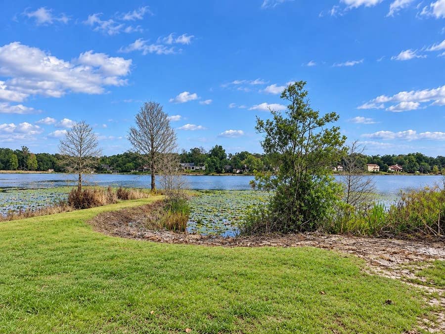 Property photo for 10565 95TH TERRACE, Belleview, FL