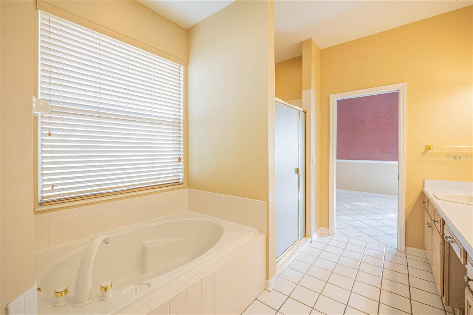 7004 PINE HOLLOW DRIVE, Mount Dora, FL 32757