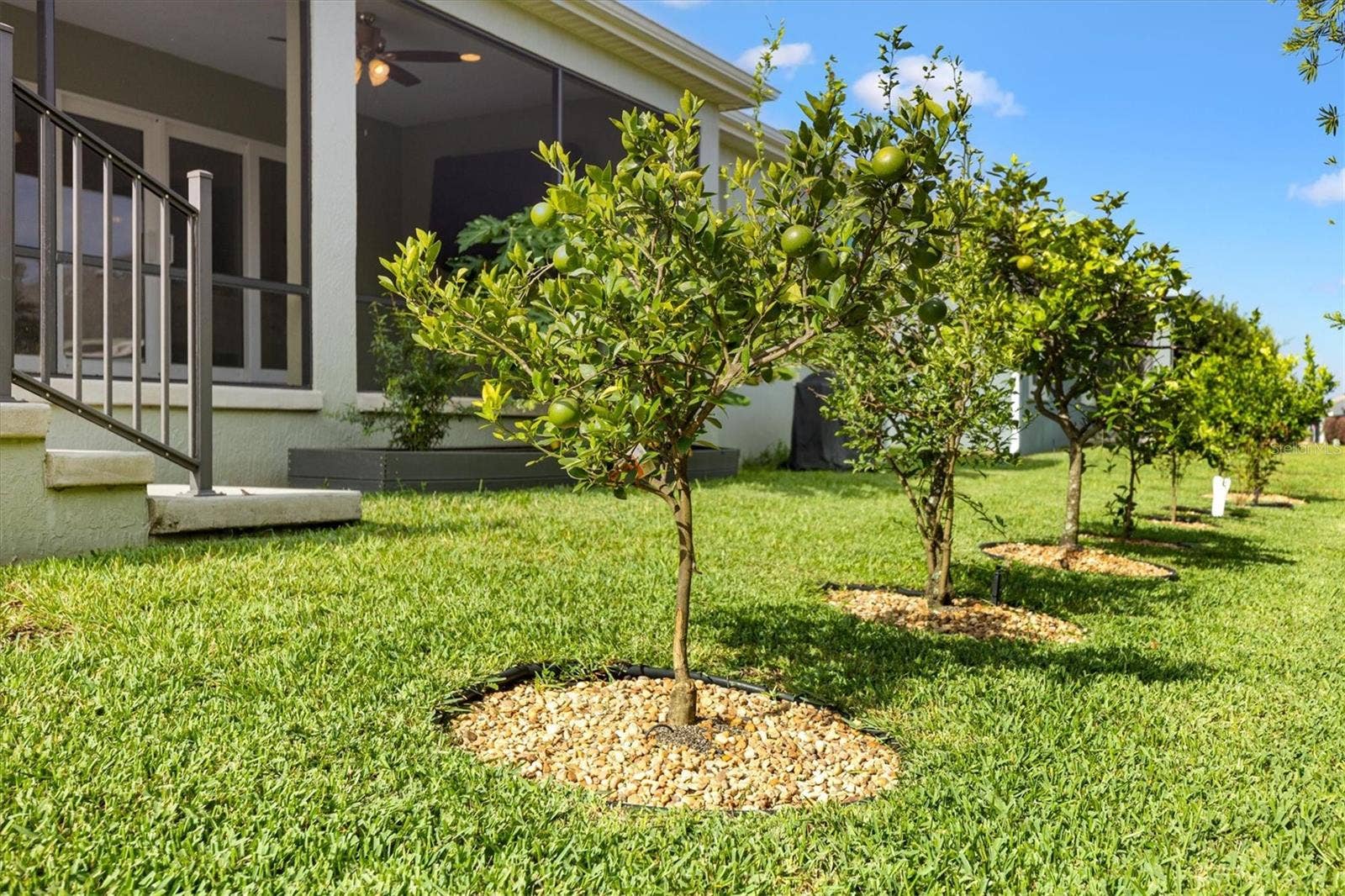 575 RANDALL ROAD, The Villages, FL 32163 575 RANDALL ROAD, The Villages, FL 32163