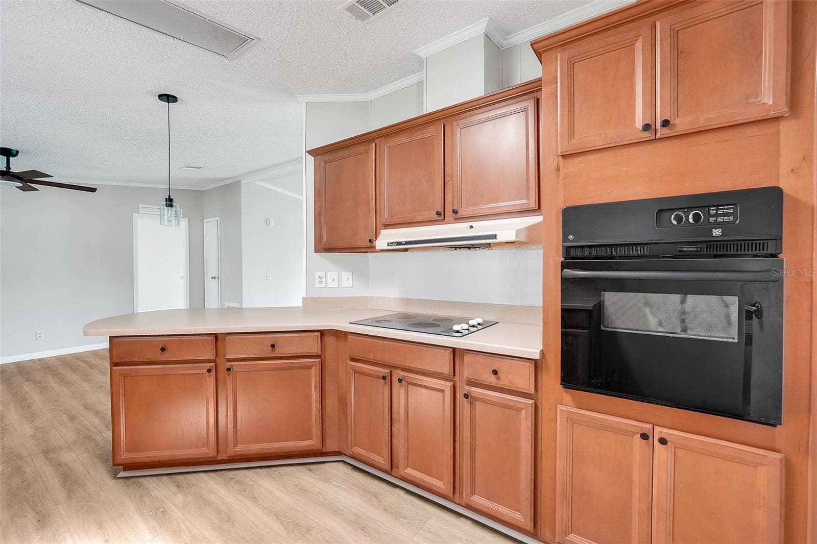 5047 EL DESTINO DRIVE, Leesburg, FL 34748 5047 EL DESTINO DRIVE, Leesburg, FL 34748