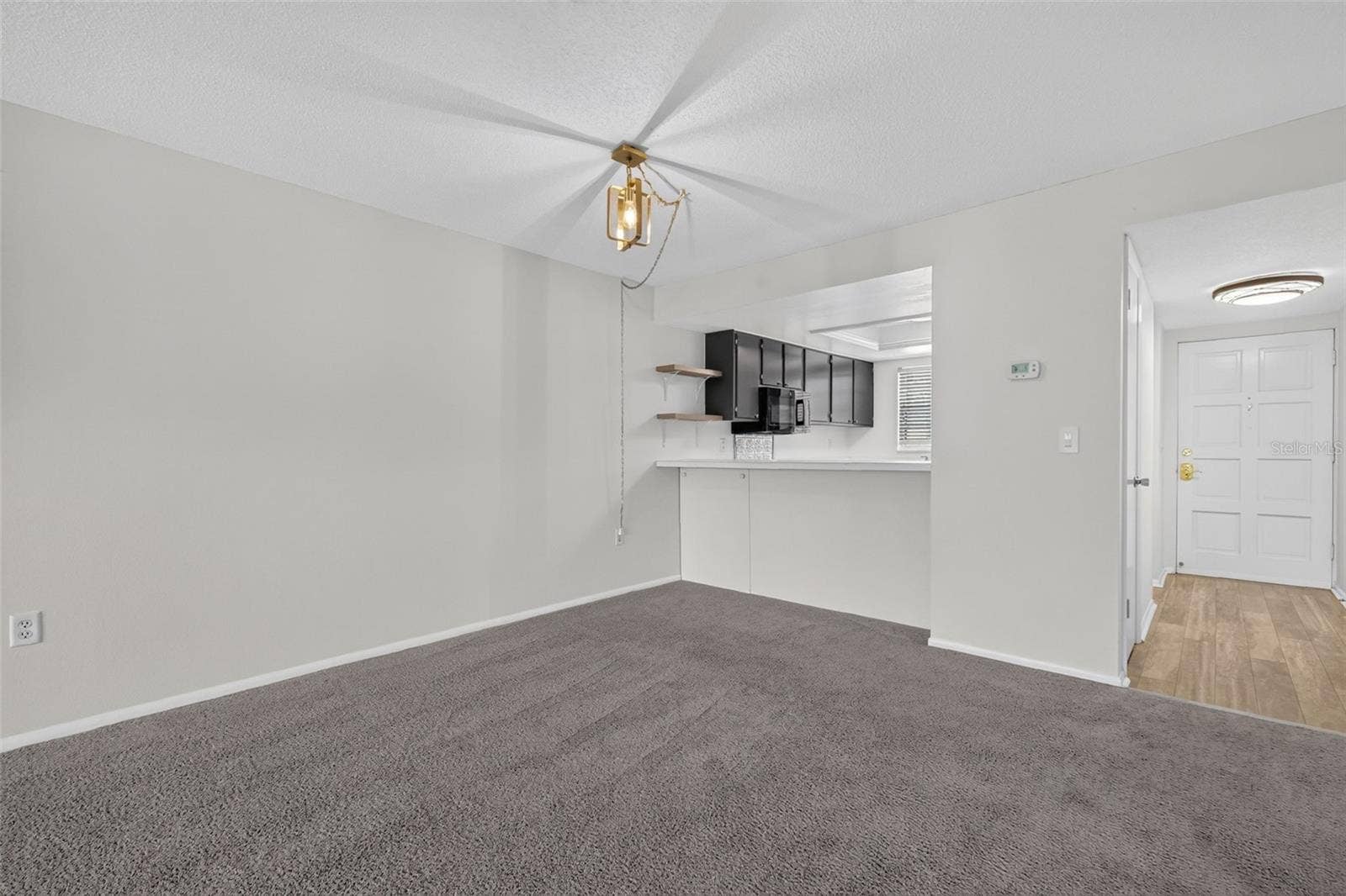 101 N GRANDVIEW STREET, #203, Mount Dora, FL 32757