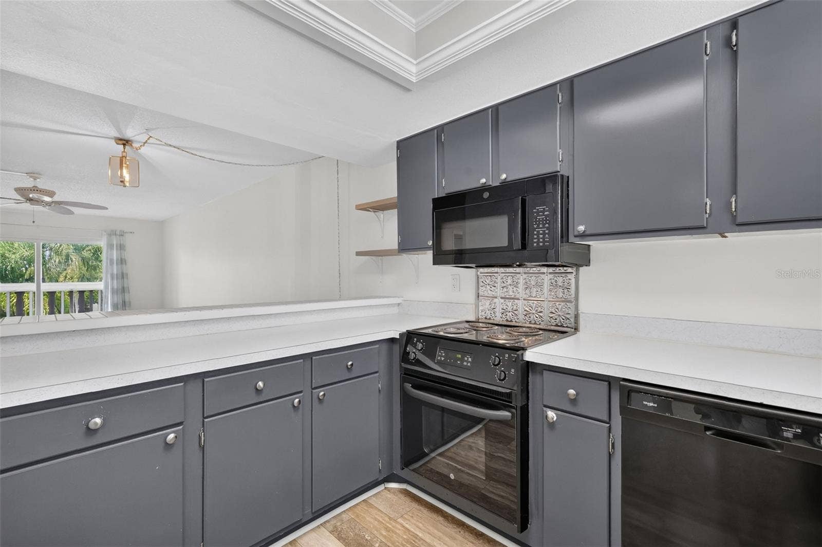 101 N GRANDVIEW STREET, #203, Mount Dora, FL 32757