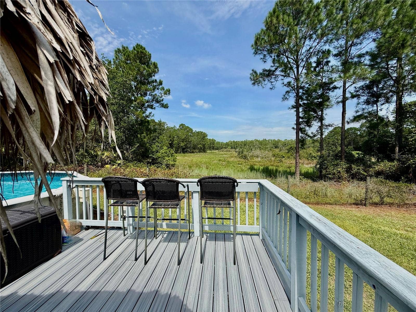 39627 GREENBRIER STREET, Eustis, FL 32736