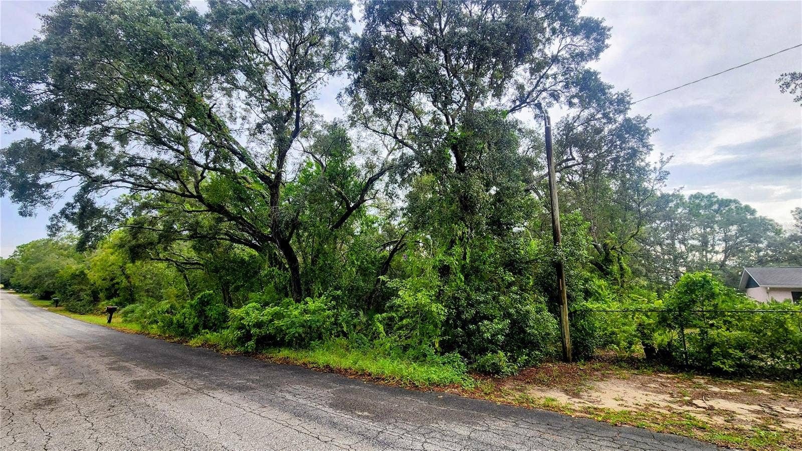 5511 W ROCHELLE STREET, Homosassa, FL 34446 Beautiful Tree on vacant lot- Electric Nearby