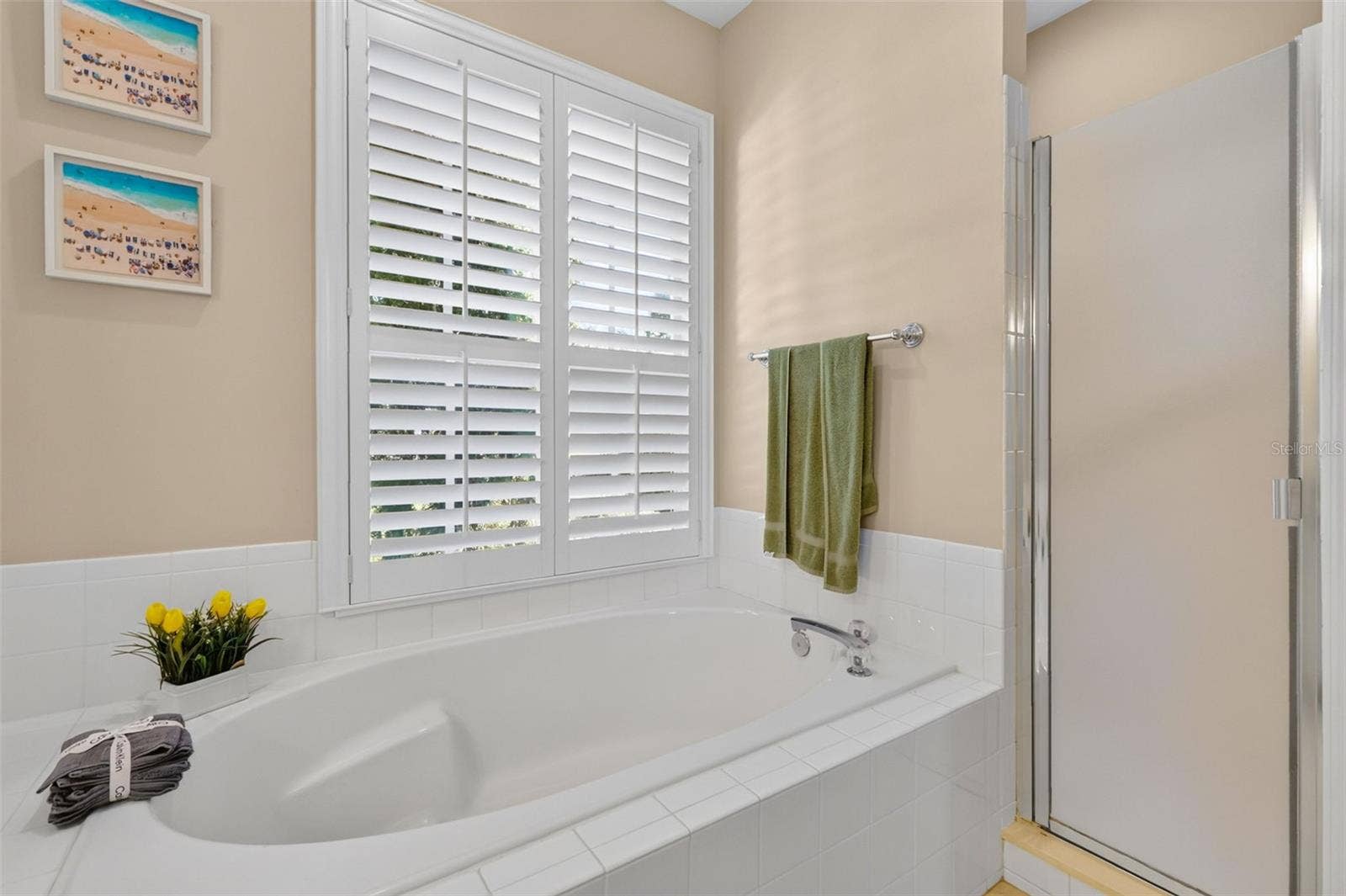 6022 FALCONBRIDGE PLACE, Mount Dora, FL 32757