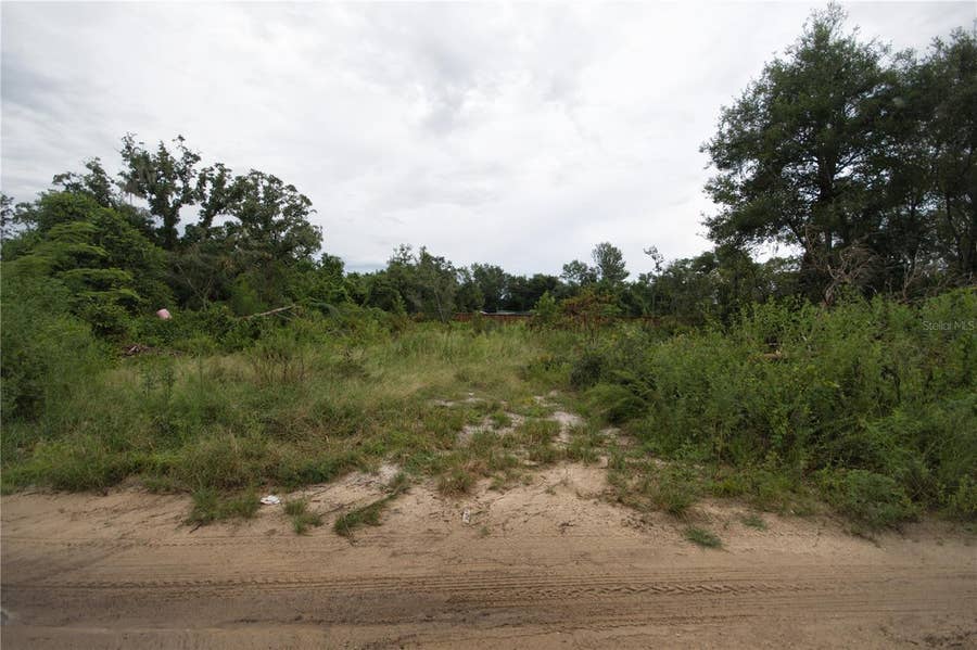 Property photo for SE 144TH LANE, Umatilla, FL