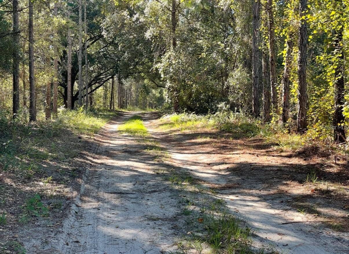 19751 COUNTY ROAD 33, Groveland, FL 34736