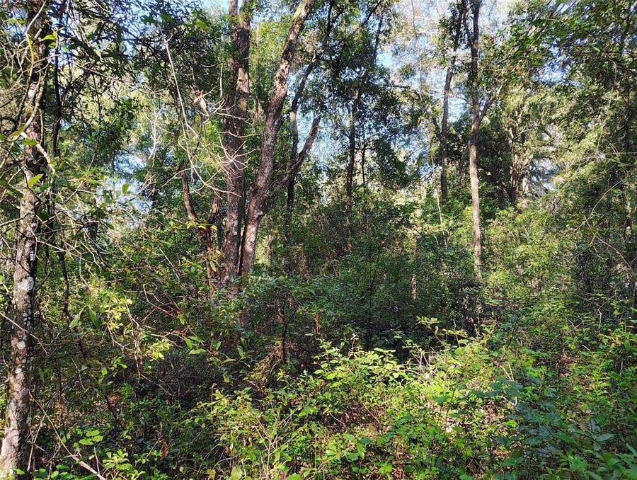 Property photo for SW 158TH LANE, Dunnellon, FL